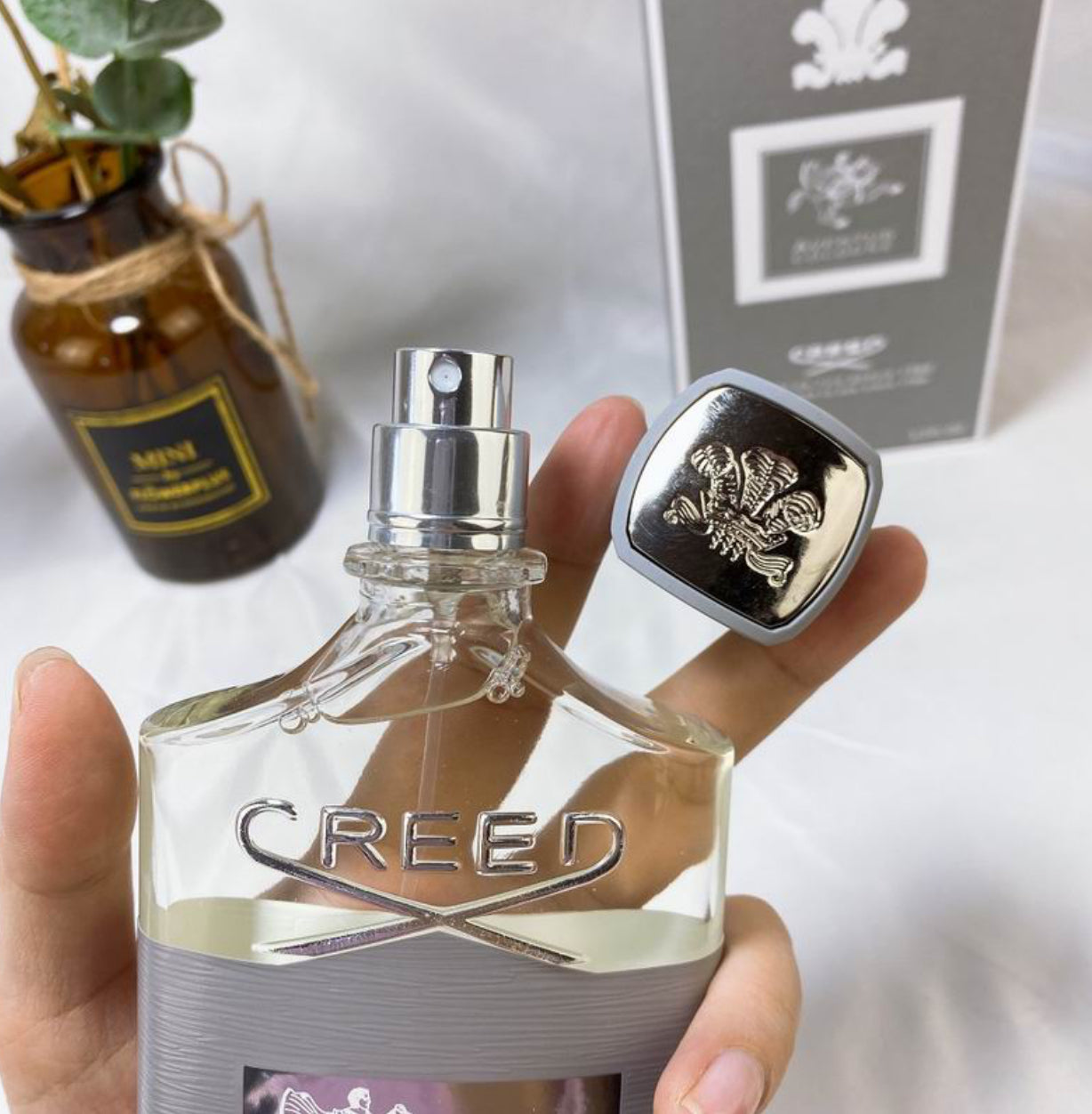 Authentic Creed: Aventus Cologne