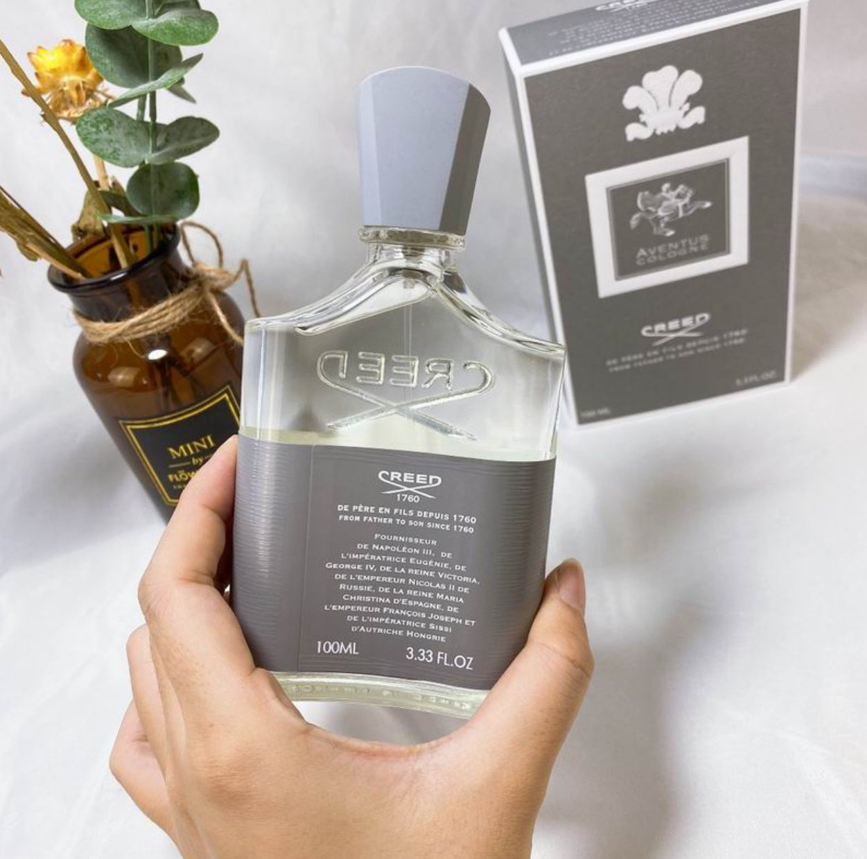 Authentic Creed: Aventus Cologne