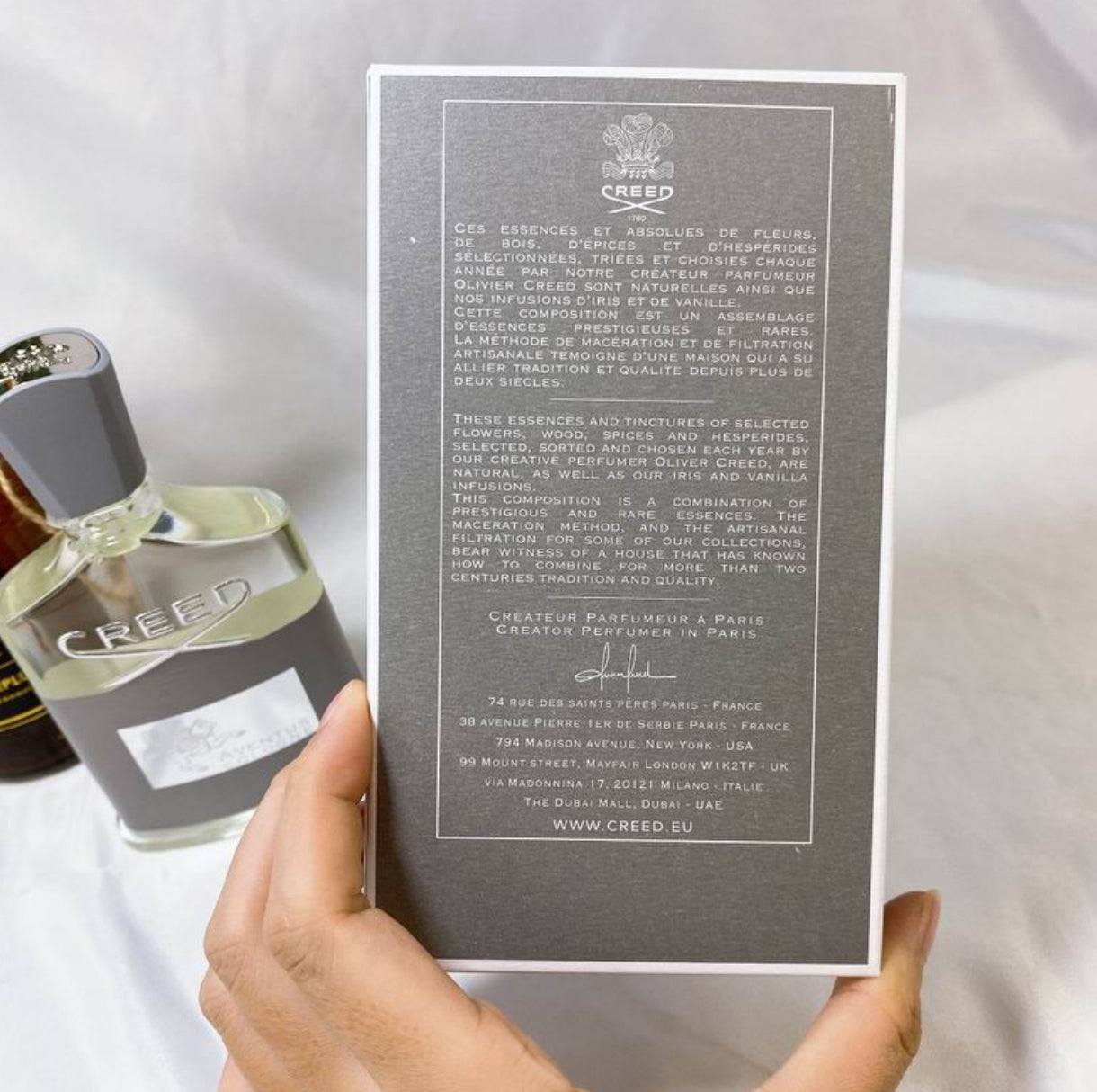 Authentic Creed: Aventus Cologne