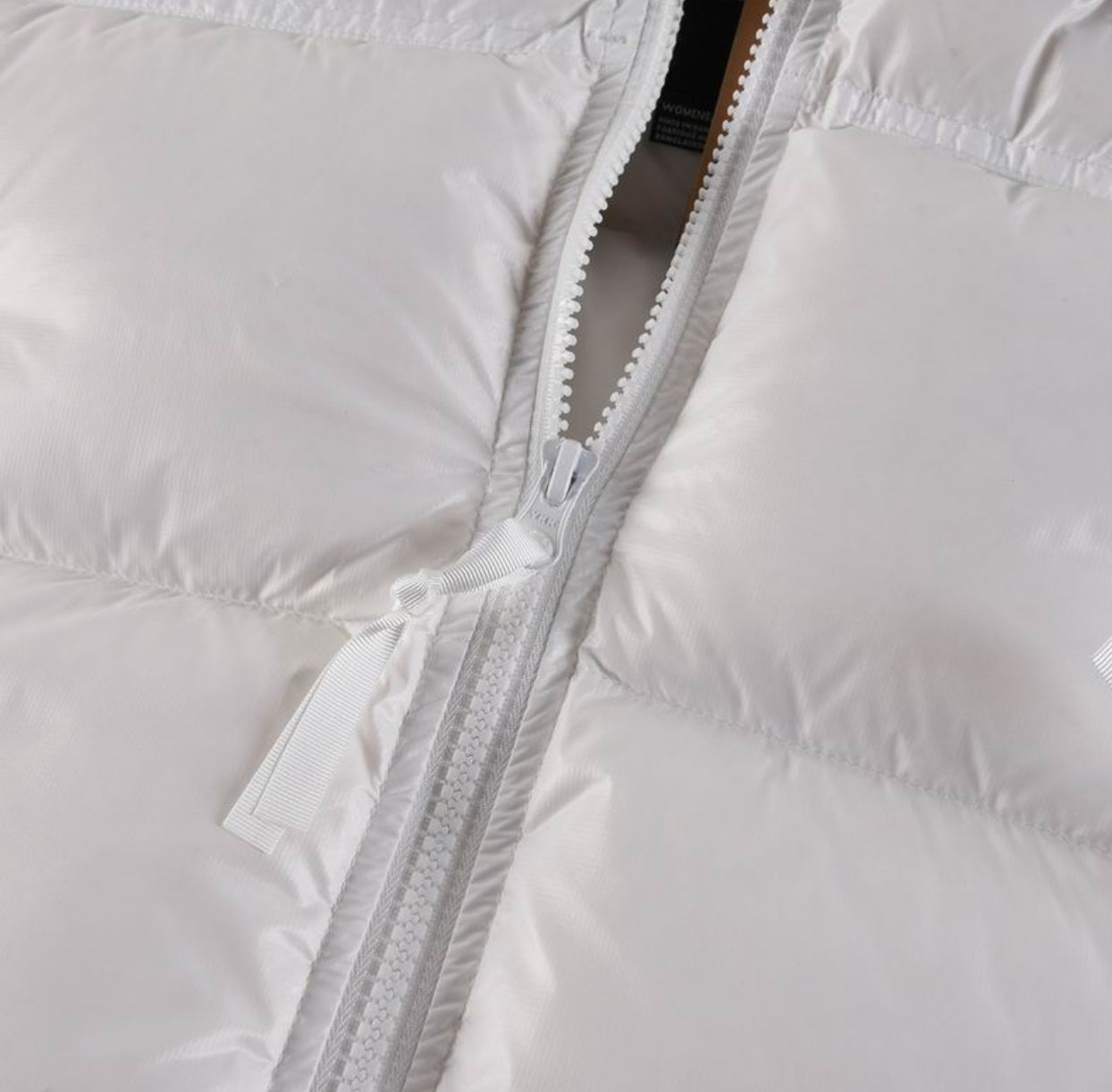 Authentic North Face  WOMEN'S 1996 Retro Nuptse Jacket