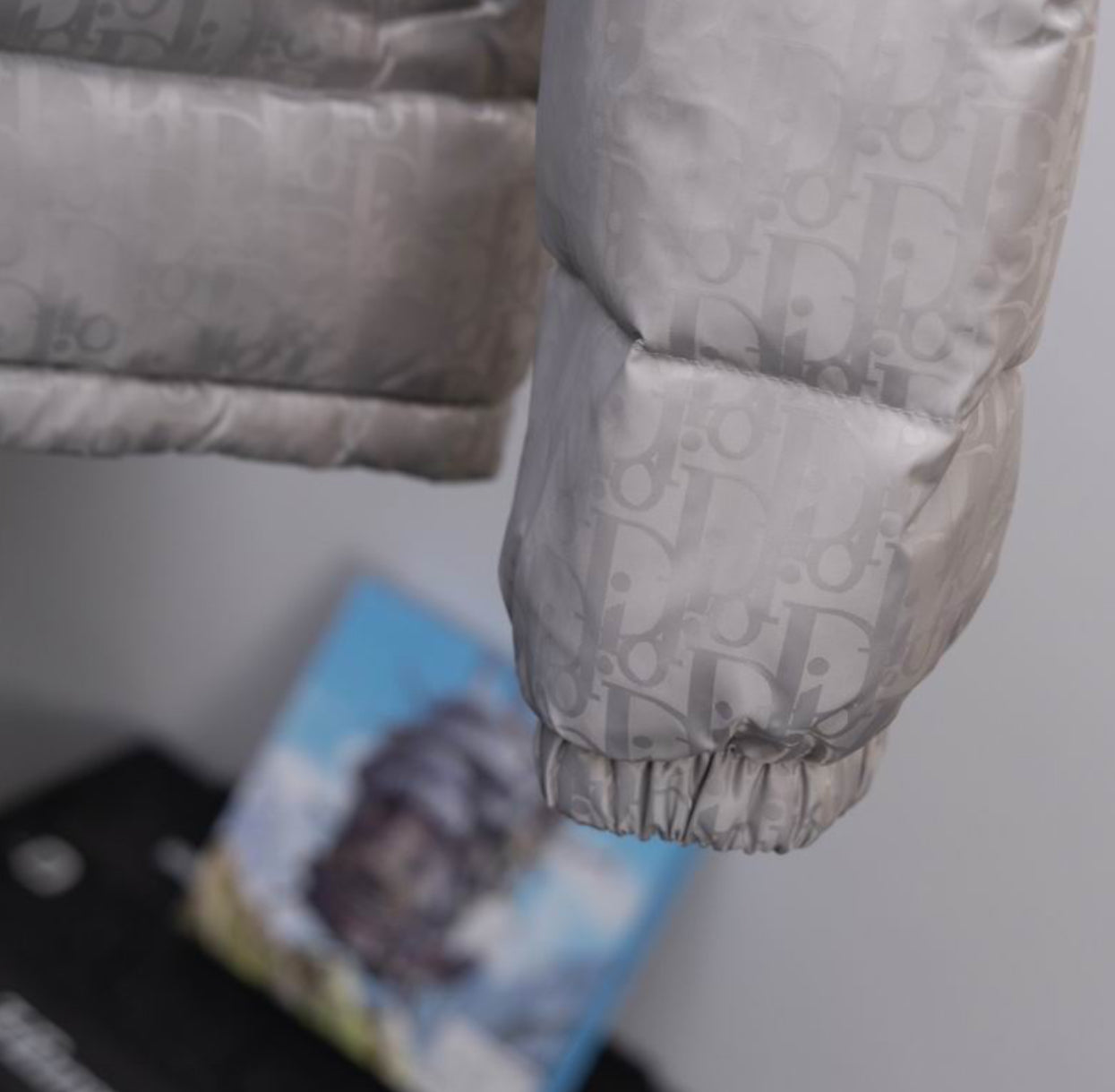 Authentic Dior - Oblique Down Jacket