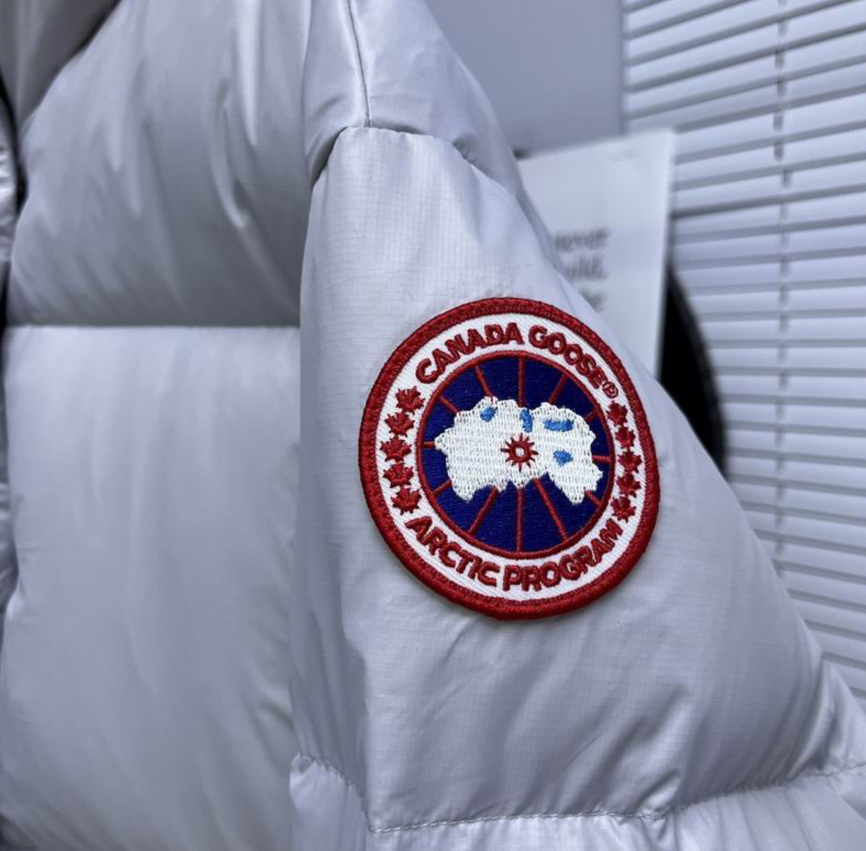 Authentic Canada Goose Cypress Cropped Puffer