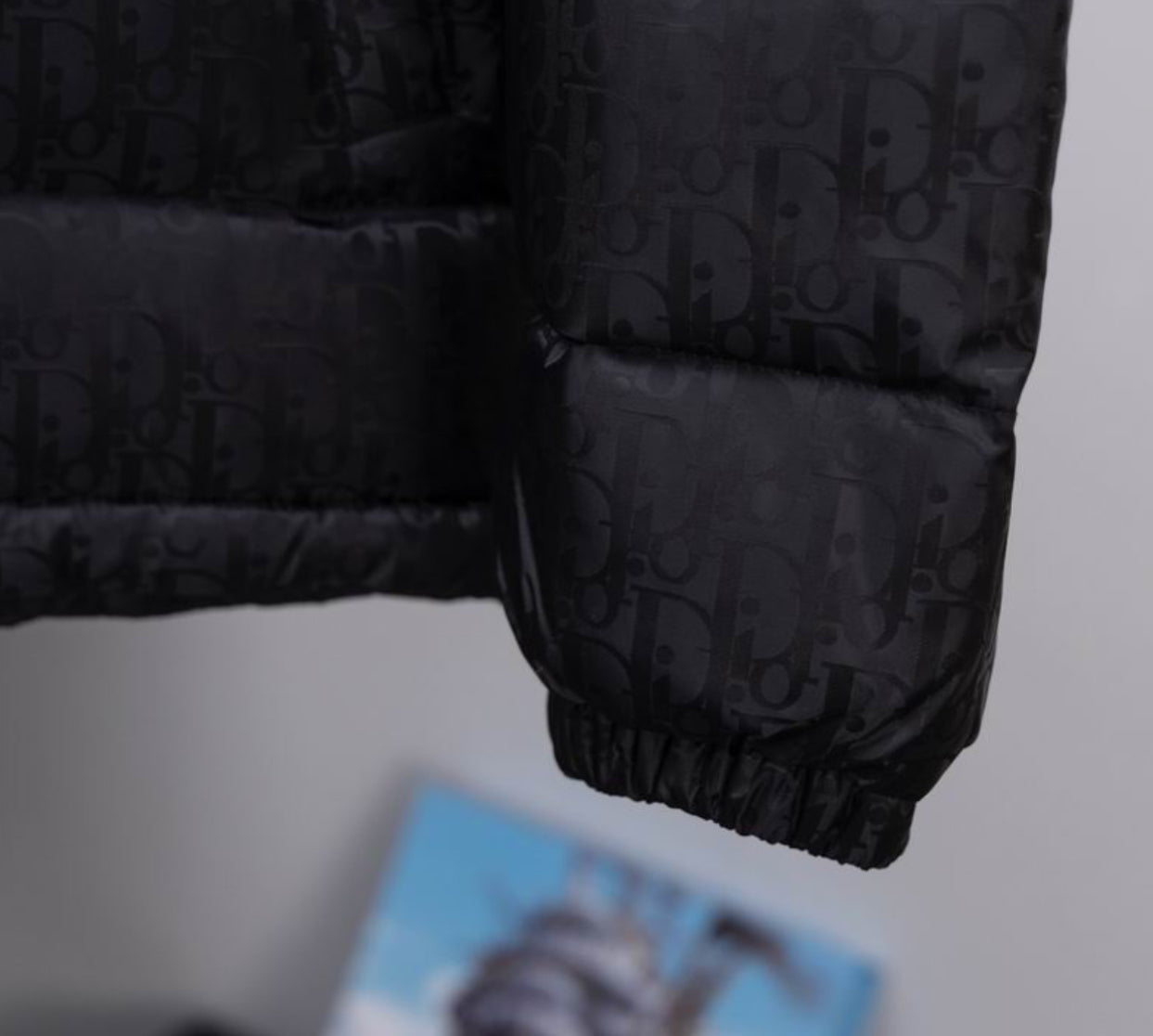 Authentic Dior - Oblique Down Jacket