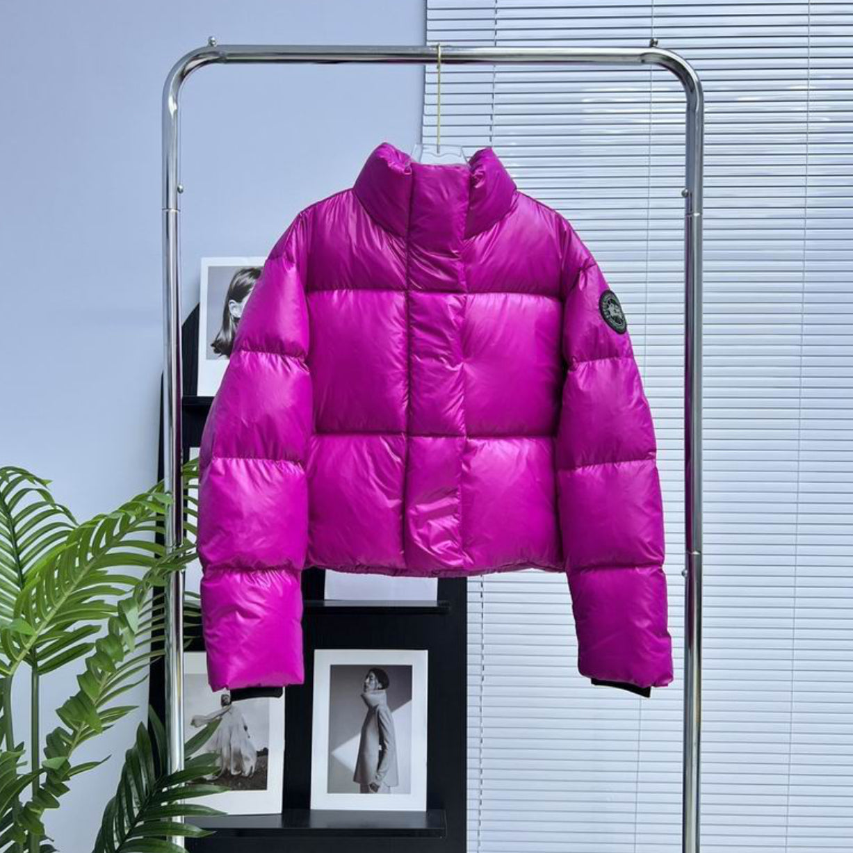 Authentic Canada Goose Cypress Cropped Puffer