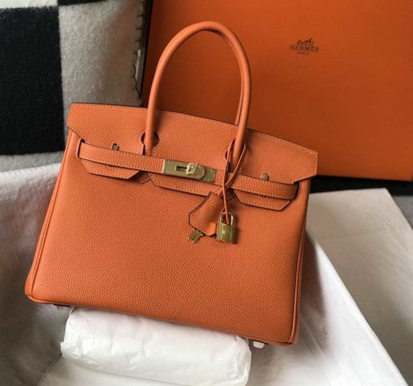 Authentic Hermès Birkin 25 Bag
