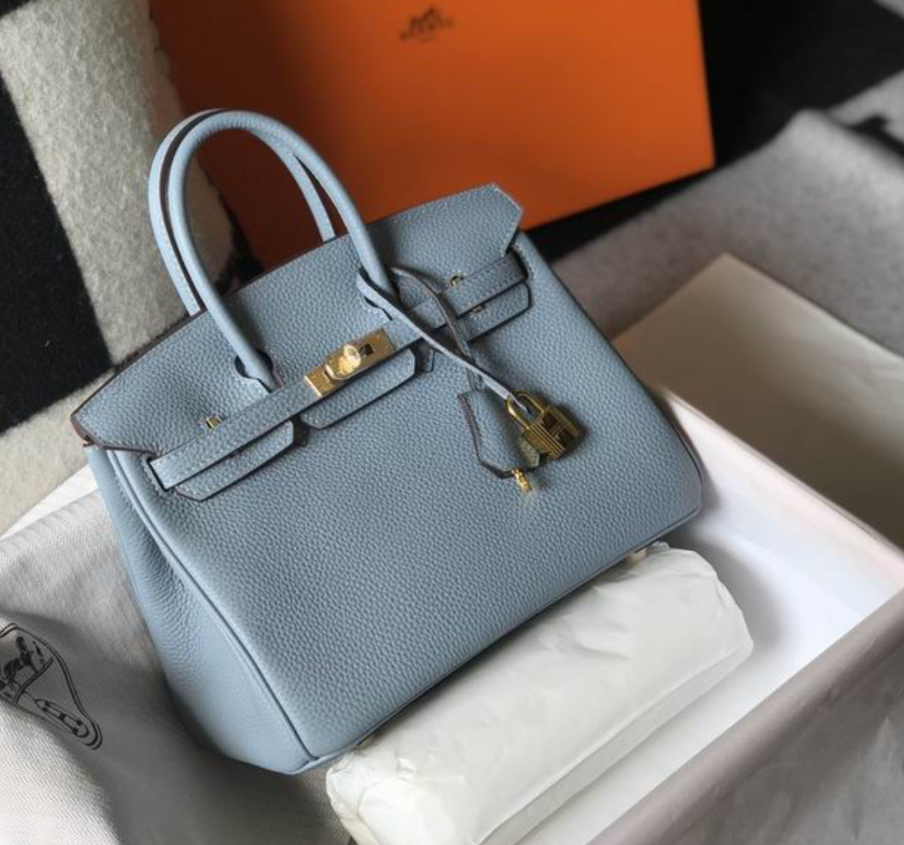 Authentic Hermès Birkin 25 Bag
